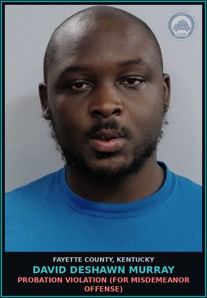 CCW arrest card for DAVID DESHAWN MURRAY in Fayette County: PROBATION VIOLATION (FOR MISDEMEANOR OFFENSE)
