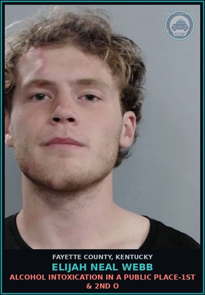 CCW arrest card for ELIJAH NEAL WEBB in Fayette County: ALCOHOL INTOXICATION IN A PUBLIC PLACE-1ST & 2ND O