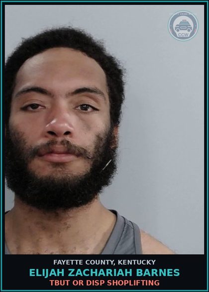 CCW arrest card for ELIJAH ZACHARIAH BARNES in Fayette County: TBUT OR DISP SHOPLIFTING