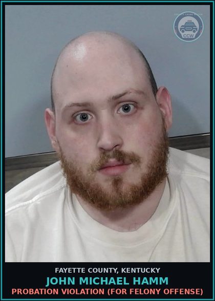CCW arrest card for JOHN MICHAEL HAMM in Fayette County: PROBATION VIOLATION (FOR FELONY OFFENSE)