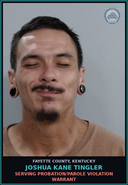 CCW arrest card for JOSHUA KANE TINGLER in Fayette County: SERVING PROBATION/PAROLE VIOLATION WARRANT