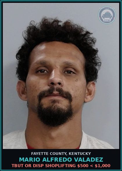 CCW arrest card for MARIO ALFREDO VALADEZ in Fayette County: TBUT OR DISP SHOPLIFTING $500 < $1,000