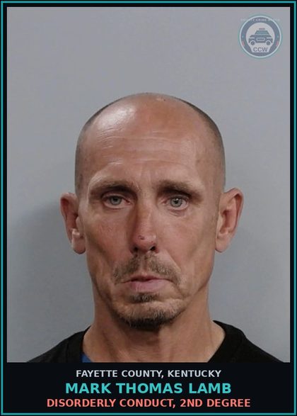 CCW arrest card for MARK THOMAS LAMB in Fayette County: PUBLIC INTOXICATION-CONTROLL SUB(EXCLUDES ALCOHOL)