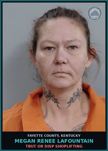 CCW arrest card for MEGAN RENEE LAFOUNTAIN in Fayette County: TBUT OR DISP SHOPLIFTING