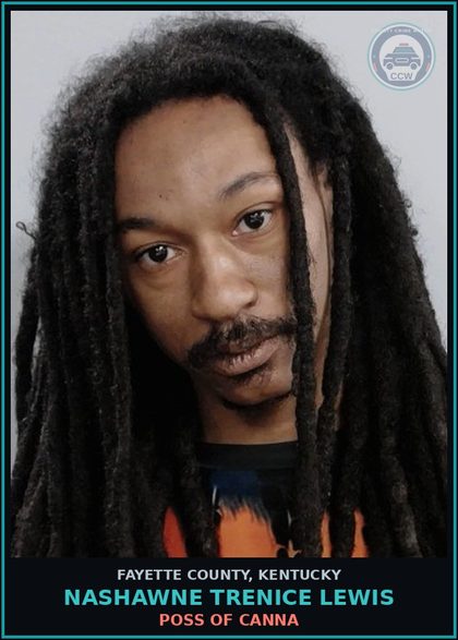 CCW arrest card for NASHAWNE TRENICE LEWIS in Fayette County: TRAFF IN CONT SUB, 1ST DEGREE, 1ST OFF - (< 4 GMS COCAINE)