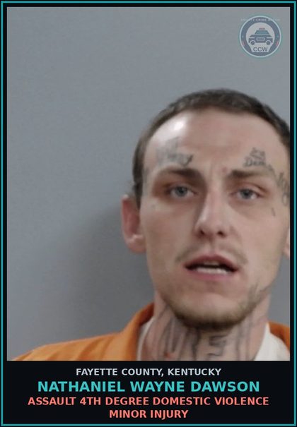 CCW arrest card for NATHANIEL WAYNE DAWSON in Fayette County: ASSAULT 4TH DEGREE DOMESTIC VIOLENCE MINOR INJURY