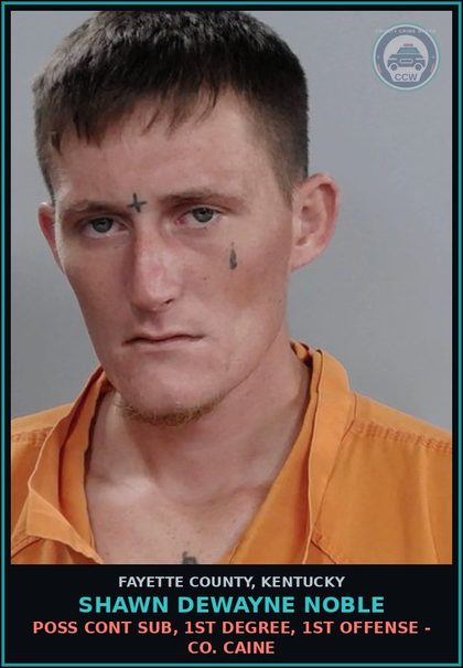 CCW arrest card for SHAWN DEWAYNE NOBLE in Fayette County: POSS CONT SUB, 1ST DEGREE, 1ST OFFENSE - COCAINE