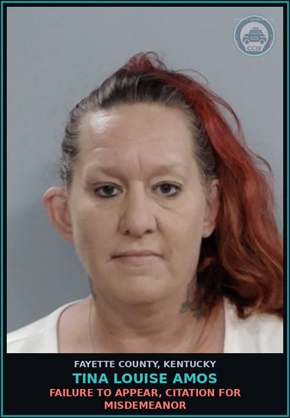CCW arrest card for TINA LOUISE AMOS in Fayette County: FAILURE TO APPEAR, CITATION FOR MISDEMEANOR