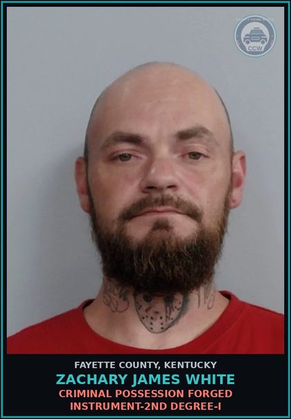 CCW arrest card for ZACHARY JAMES WHITE in Fayette County: CONTEMPT OF COURT