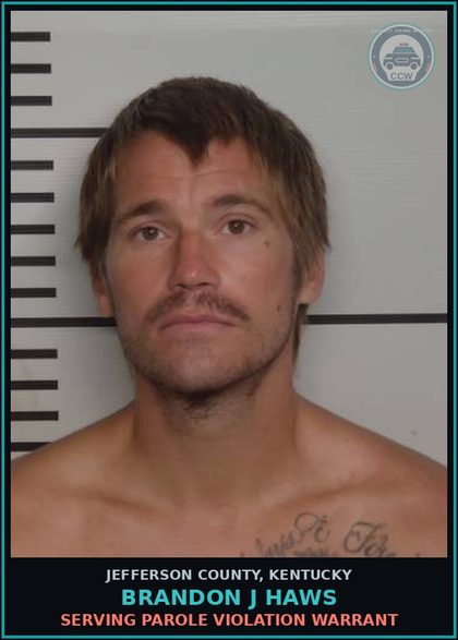 CCW arrest card for Brandon J Haws in Jefferson County: SERVING PAROLE VIOLATION WARRANT
