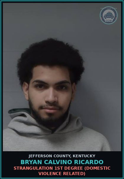 CCW arrest card for Bryan Calvino Ricardo in Jefferson County: STRANGULATION 1ST DEGREE (DOMESTIC VIOLENCE RELATED)