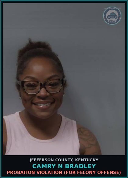 CCW arrest card for Camry N Bradley in Jefferson County: PROBATION VIOLATION (FOR FELONY OFFENSE)