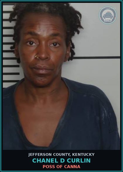CCW arrest card for Chanel D Curlin in Jefferson County: CRIMINAL TRESPASSING-3RD DEGREE