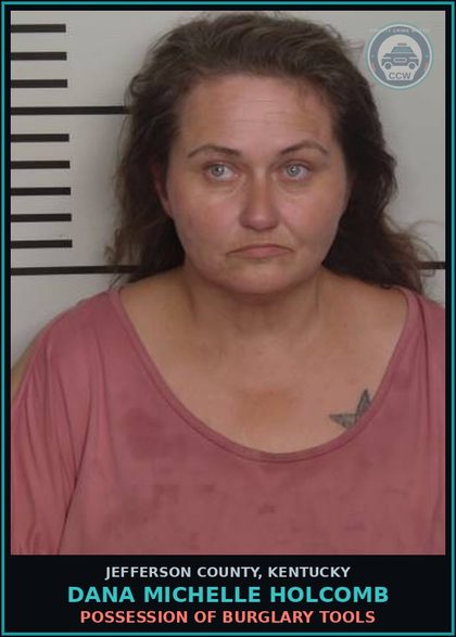 CCW arrest card for Dana Michelle Holcomb in Jefferson County: TBUT OR DISP ALL OTHERS $1,000 < $10,000