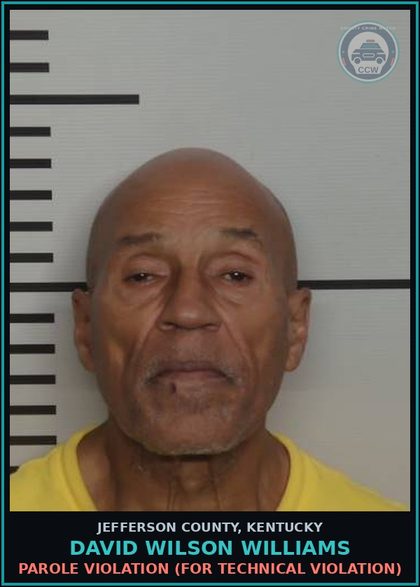 CCW arrest card for David Wilson Williams in Jefferson County: PAROLE VIOLATION (FOR TECHNICAL VIOLATION)