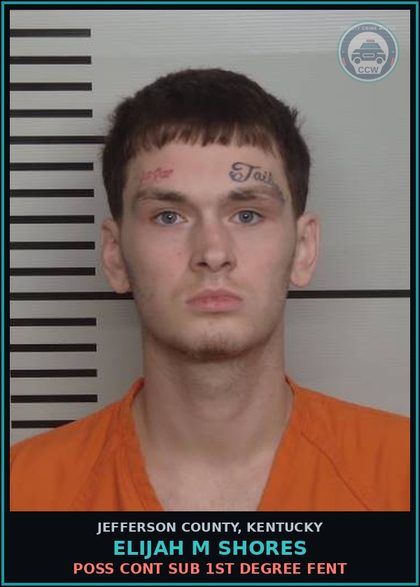 CCW arrest card for Elijah M Shores in Jefferson County: RECEIVING STOLEN PROPERTY $1,000 < $10,000