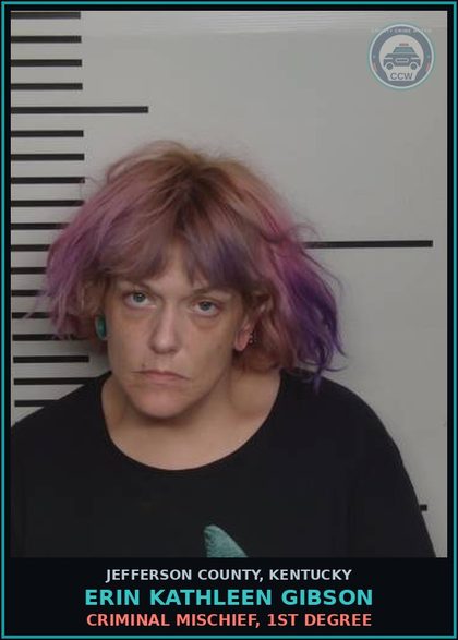 CCW arrest card for Erin Kathleen Gibson in Jefferson County: CRIMINAL MISCHIEF, 1ST DEGREE