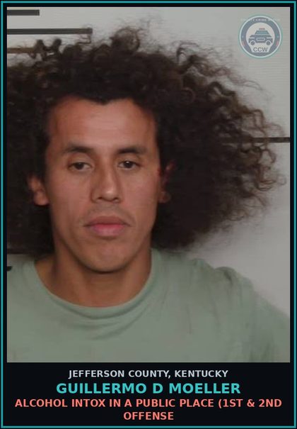 CCW arrest card for Guillermo D Moeller in Jefferson County: ALCOHOL INTOX IN A PUBLIC PLACE (1ST & 2ND OFFENSE