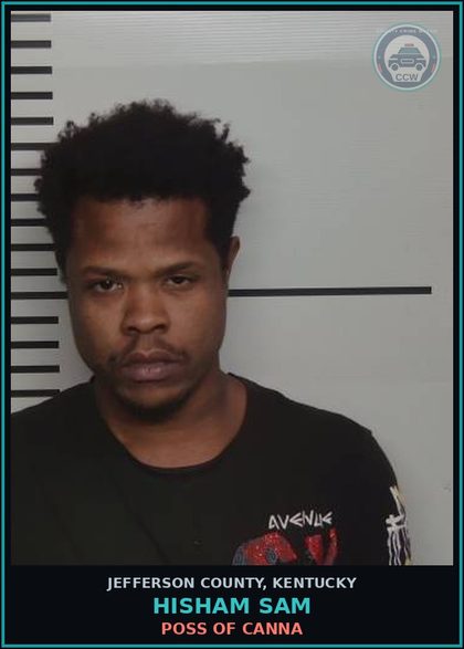 CCW arrest card for Hisham Sam in Jefferson County: TBUT OR DISP AUTO $1,000 < $10,000