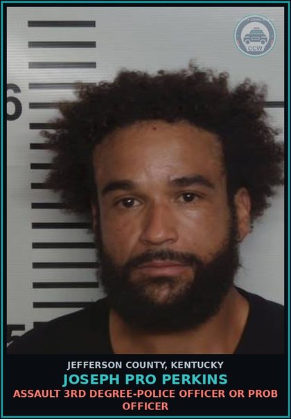CCW arrest card for Joseph Pro Perkins in Jefferson County: OPER MTR VEHICLE U/INFL ALC/SUBS (189A.010(1E) - 1ST