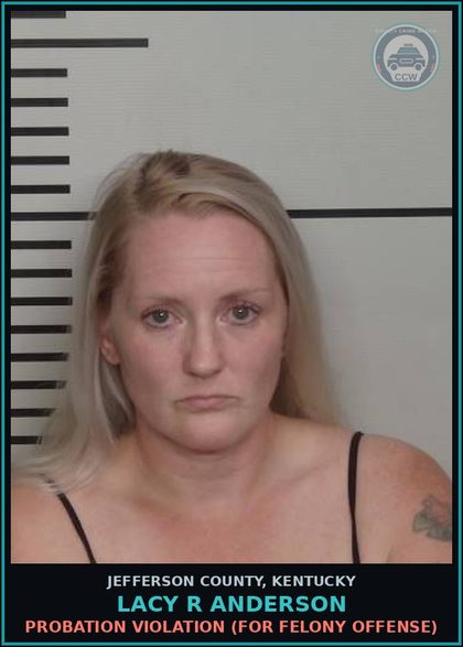 CCW arrest card for Lacy R Anderson in Jefferson County: THEFT BY DECEPTION-INCLUDE COLD CHECKS $1,000 < $10,000