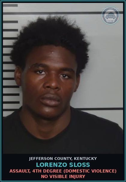 CCW arrest card for Lorenzo Sloss in Jefferson County: ASSAULT, 4TH DEGREE (DOMESTIC VIOLENCE) NO VISIBLE INJURY