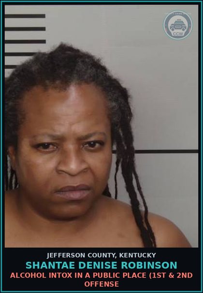 CCW arrest card for Shantae Denise Robinson in Jefferson County: ALCOHOL INTOX IN A PUBLIC PLACE (1ST & 2ND OFFENSE