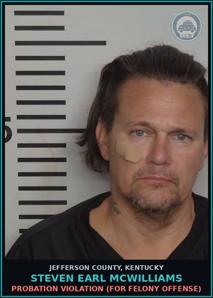 CCW arrest card for Steven Earl Mcwilliams in Jefferson County: RECEIVING STOLEN PROPERTY