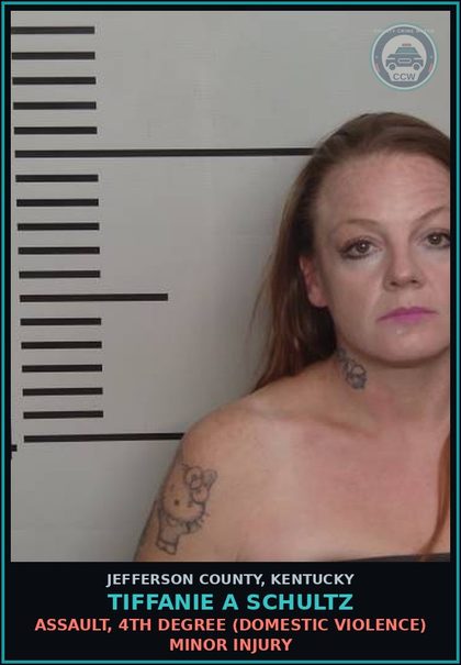 CCW arrest card for Tiffanie A Schultz in Jefferson County: ASSAULT, 4TH DEGREE (DOMESTIC VIOLENCE) MINOR INJURY