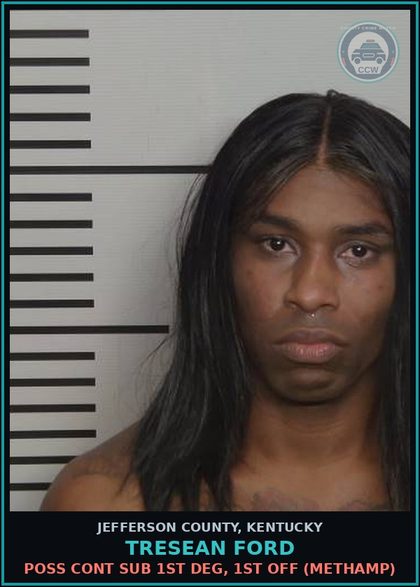 CCW arrest card for Tresean Ford in Jefferson County: POSS CONT SUB 1ST DEG, 1ST OFF (Methamp)