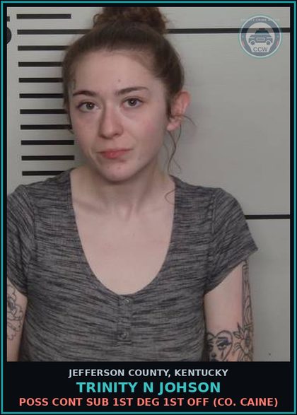 CCW arrest card for Trinity N Johson in Jefferson County: POSS CONT SUB 1ST DEG 1ST OFF (COCAINE)