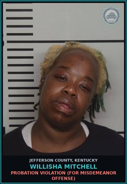 CCW arrest card for Willisha Mitchell in Jefferson County: PROBATION VIOLATION (FOR MISDEMEANOR OFFENSE)
