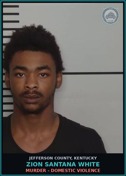 CCW arrest card for Zion Santana White in Jefferson County: MURDER - DOMESTIC VIOLENCE