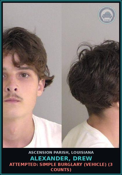 CCW arrest card for Alexander, Drew in Ascension Parish: Criminal Trespass/Trespassing of Real Property (4 counts)