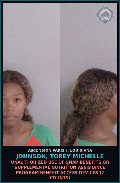 CCW arrest card for Johnson, Torey Michelle in Ascension Parish: Unauthorized use of SNAP benefits or supplemental nutrition assistance program benefit access devices (2 counts)
