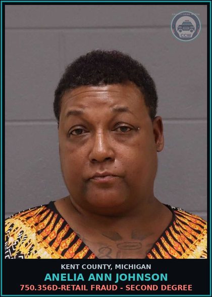 CCW arrest card for Anelia Ann Johnson in Kent County: 750.356D-RETAIL FRAUD - SECOND DEGREE