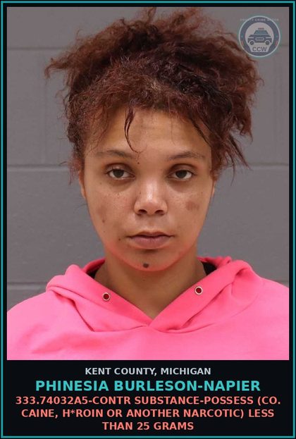 CCW arrest card for Phinesia Burleson-Napier in Kent County: 333.74032A5-contr substance-POSSESS (COCAINE, HEROIN OR ANOTHER NARCOTIC) LESS THAN 25 GRAMS