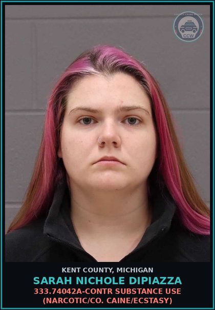 CCW arrest card for Sarah Nichole Dipiazza in Kent County: 333.74042A-contr substance USE (NARCOTIC/COCAINE/ECSTASY)