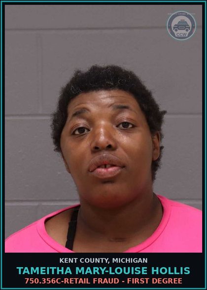 CCW arrest card for Tameitha Mary-Louise Hollis in Kent County: 750.356C-RETAIL FRAUD - FIRST DEGREE