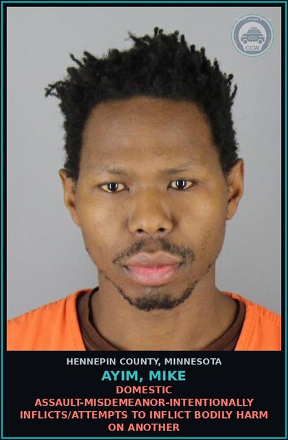 CCW arrest card for AYIM, MIKE in Hennepin County: DOMESTIC ASSAULT-MISDEMEANOR-INTENTIONALLY INFLICTS/ATTEMPTS TO INFLICT BODILY HARM ON ANOTHER