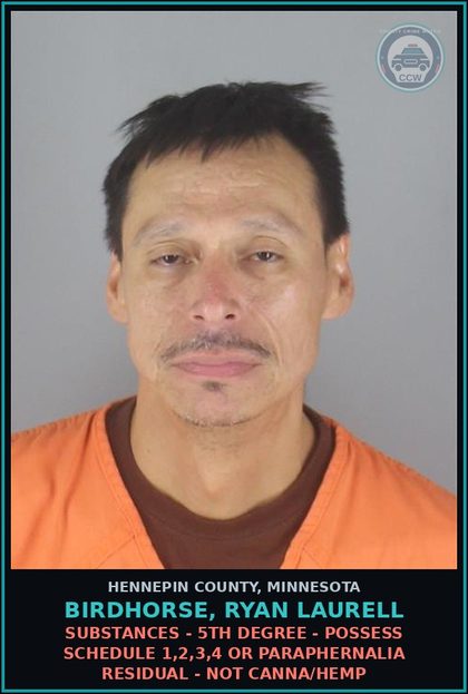 CCW arrest card for BIRDHORSE, RYAN LAURELL in Hennepin County: DRUGS - 5TH DEGREE - POSSESS SCHEDULE 1,2,3,4 OR PARAPHERNALIA RESIDUAL - NOT Canna/HEMP