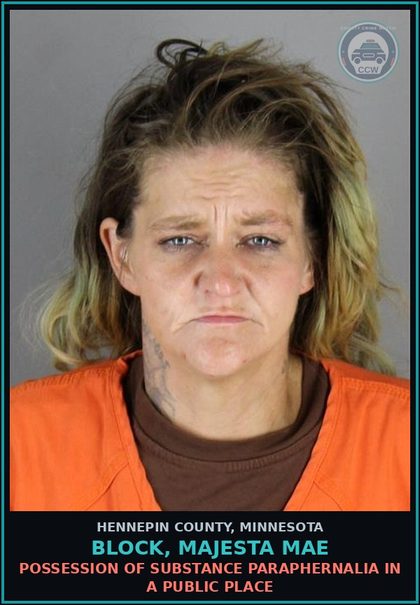 CCW arrest card for BLOCK, MAJESTA MAE in Hennepin County: THEFT-TAKE/USE/TRANSFER MOVABLE PROP-NO CONSENT