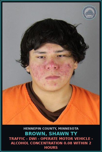 CCW arrest card for BROWN, SHAWN TY in Hennepin County: TRAFFIC - DWI - OPERATE MOTOR VEHICLE - ALCOHOL CONCENTRATION 0.08 WITHIN 2 HOURS