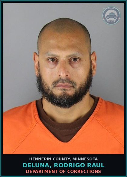 CCW arrest card for DELUNA, RODRIGO RAUL in Hennepin County: DEPARTMENT OF CORRECTIONS