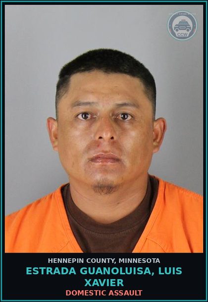 CCW arrest card for ESTRADA GUANOLUISA, LUIS XAVIER in Hennepin County: DOMESTIC ASSAULT