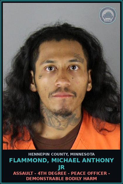 CCW arrest card for FLAMMOND, MICHAEL ANTHONY JR in Hennepin County: ASSAULT - 4TH DEGREE - PEACE OFFICER - DEMONSTRABLE BODILY HARM