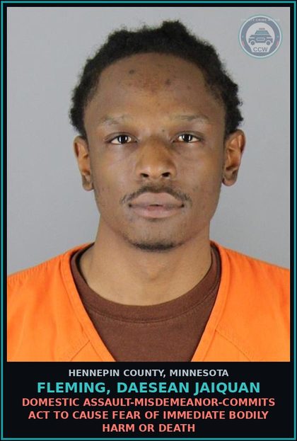 CCW arrest card for FLEMING, DAESEAN JAIQUAN in Hennepin County: DOMESTIC ASSAULT-MISDEMEANOR-COMMITS ACT TO CAUSE FEAR OF IMMEDIATE BODILY HARM OR DEATH