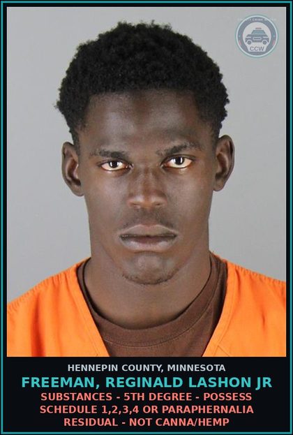 CCW arrest card for FREEMAN, REGINALD LASHON JR in Hennepin County: DRUGS - 5TH DEGREE - POSSESS SCHEDULE 1,2,3,4 OR PARAPHERNALIA RESIDUAL - NOT Canna/HEMP