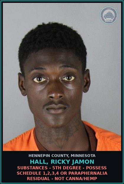 CCW arrest card for HALL, RICKY JAMON in Hennepin County: DRUGS - 5TH DEGREE - POSSESS SCHEDULE 1,2,3,4 OR PARAPHERNALIA RESIDUAL - NOT Canna/HEMP
