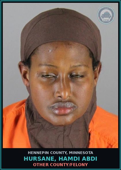 CCW arrest card for HURSANE, HAMDI ABDI in Hennepin County: DRUGS - 5TH DEGREE - POSSESS SCHEDULE 1,2,3,4 OR PARAPHERNALIA RESIDUAL - NOT Canna/HEMP